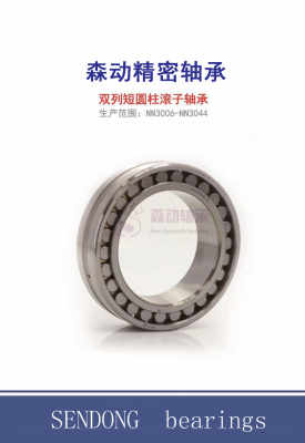 通江县NSK与NTN轴承等级查询指南 以E2.6309-2Z-C3为例